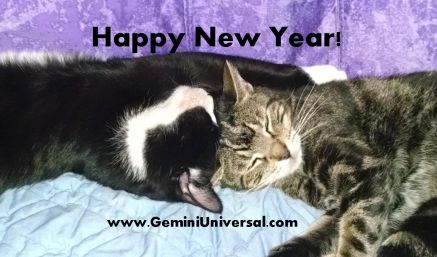 Happy_New_Year_Gemini_Universal_2015.jpg